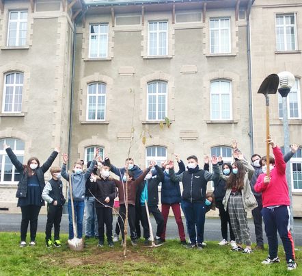 Plantation du cérisier de la fraternité